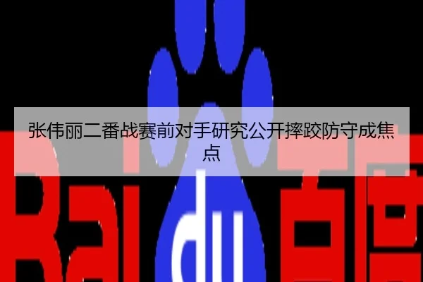 张伟丽二番战赛前对手研究公开摔跤防守成焦点