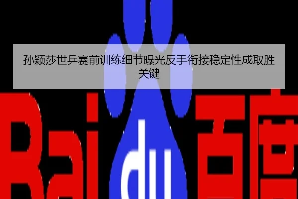 孙颖莎世乒赛前训练细节曝光反手衔接稳定性成取胜关键